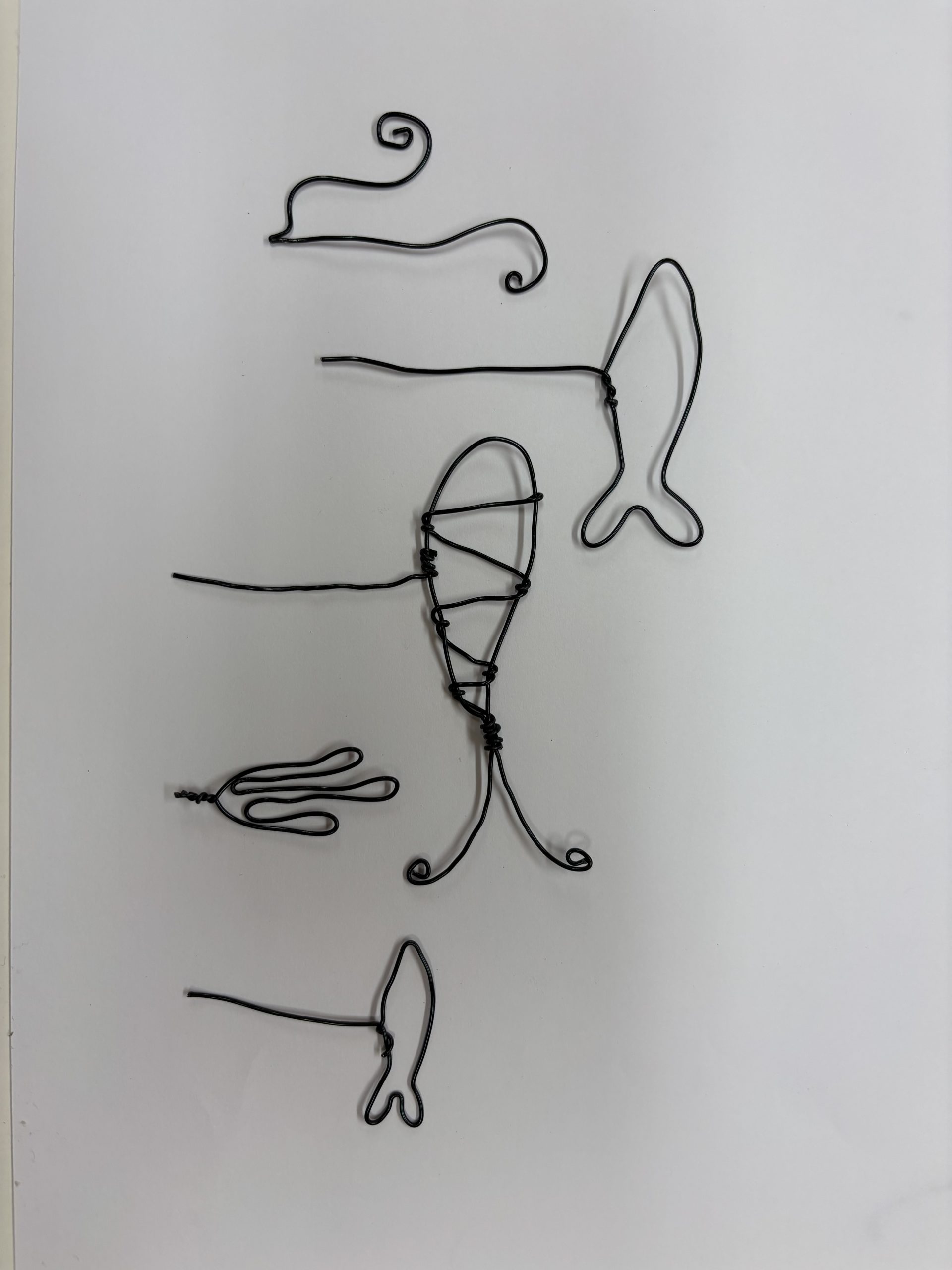 Wire art workshop - Sat 24th October 10-12.30 - Image 13