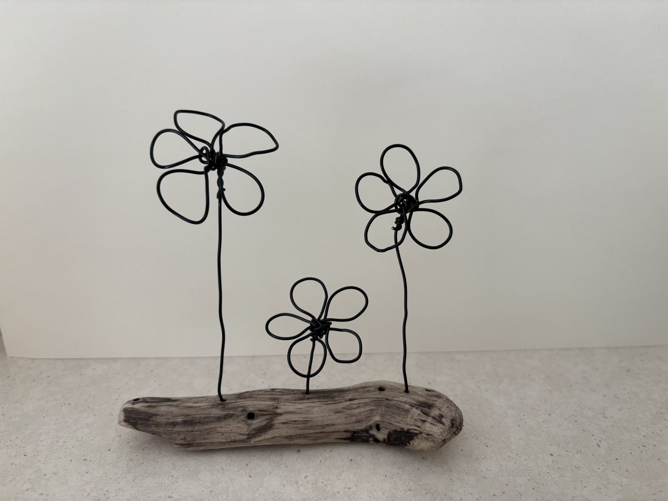 Wire art workshop - Sat 24th October 10-12